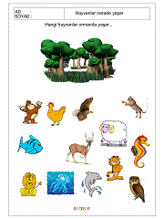 hangi hayvanlar vahşidir çalışma sayfaları